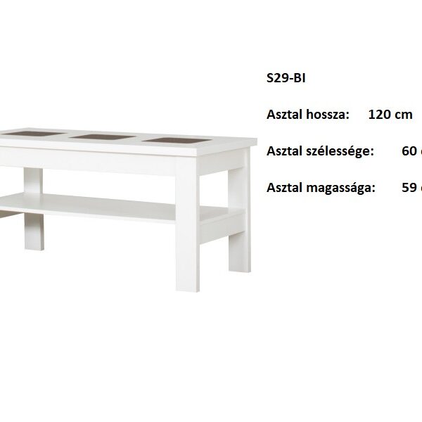 S29-BI DOHÁNYZÓ ASZTAL BÚTOR